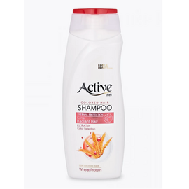 Актив шампунь 350мл. для окрашенных волос CARE & BEAUTY фото 1