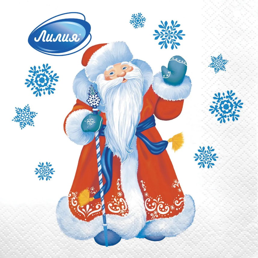 Салф. 20л 33*33см 2сл НГ Морозко фото 1